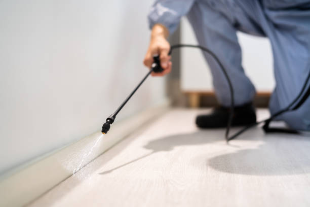 Bed Bug Pre-Treatment Preparation Assessment in Bottineau