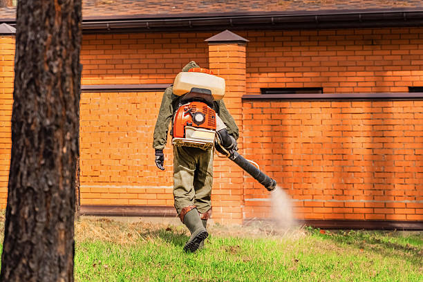 Bed Bug Clearance Verification and Documentation in Bottineau